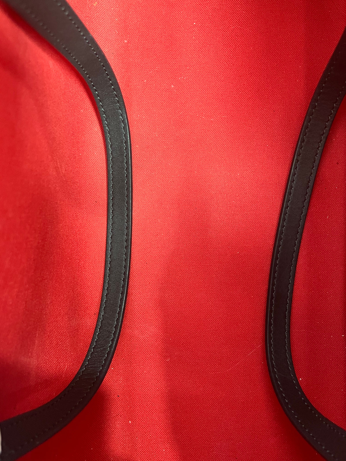 Louis Vuitton OnTheGo MM Tote Bag