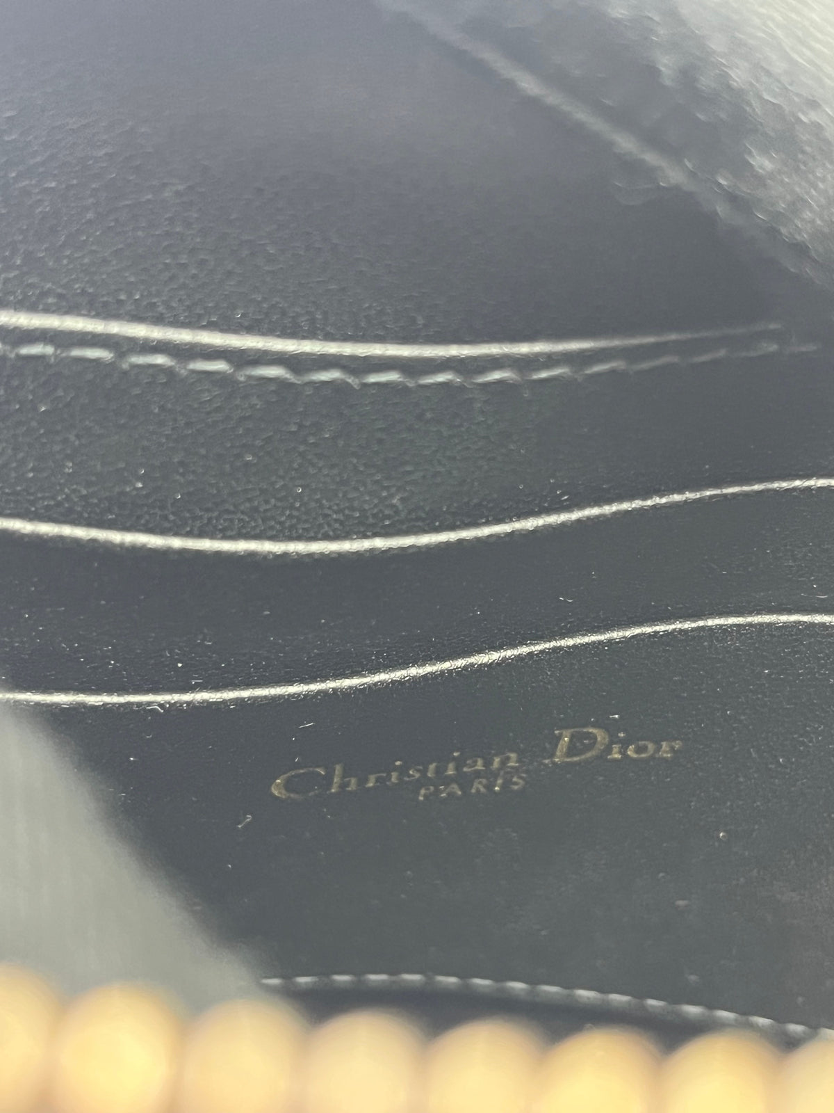 Christian Dior Saddle Rodeo Pouch