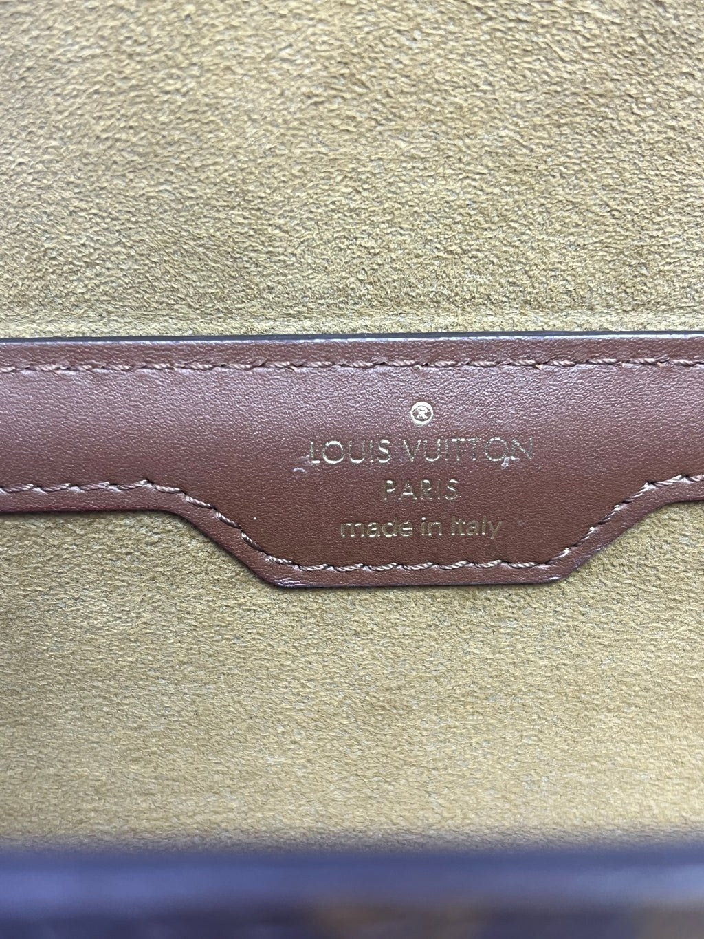 Louis Vuitton Papillon Trunk