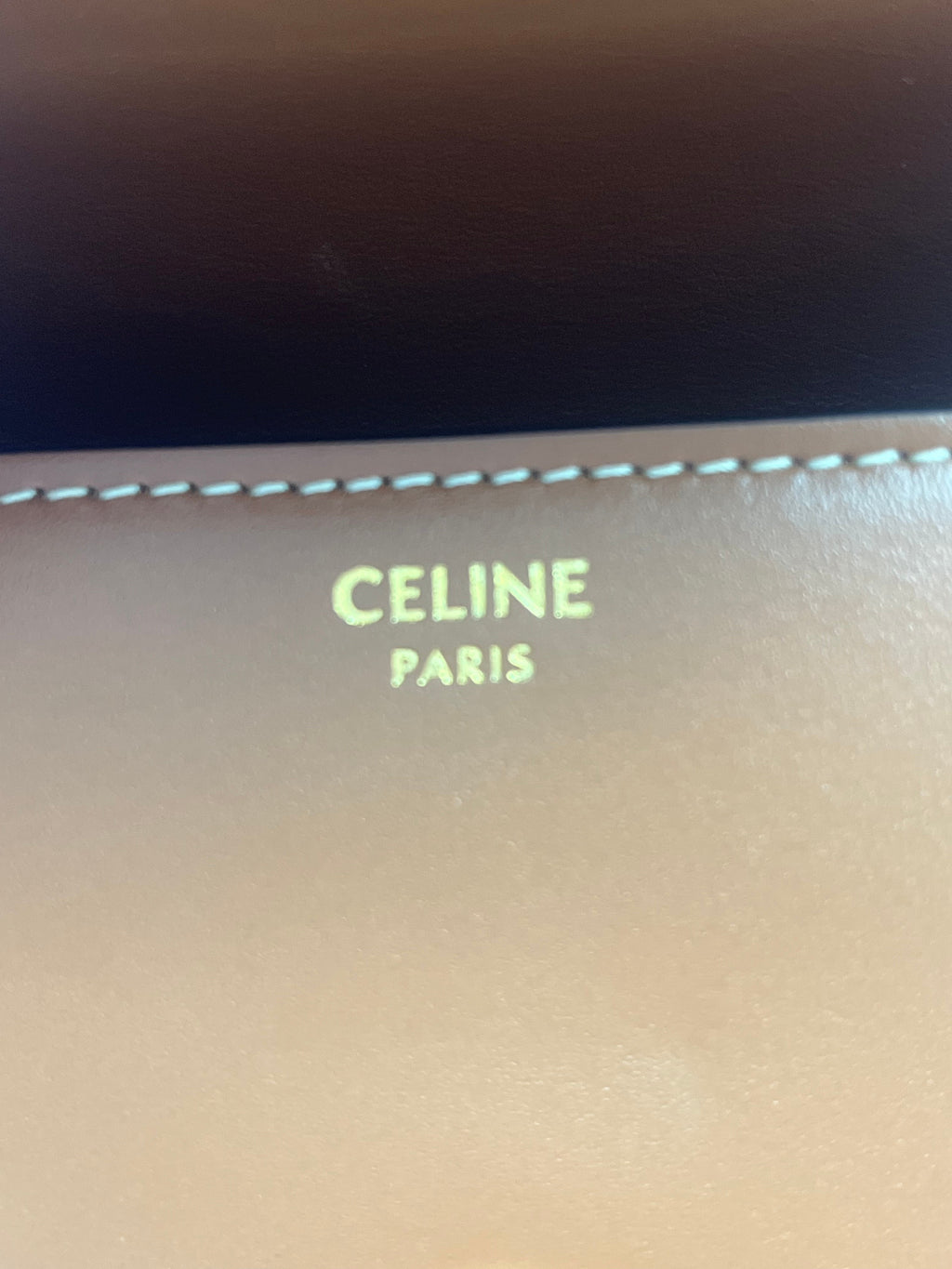 Celine Mini Triomphe Saddle Crossbody Bag