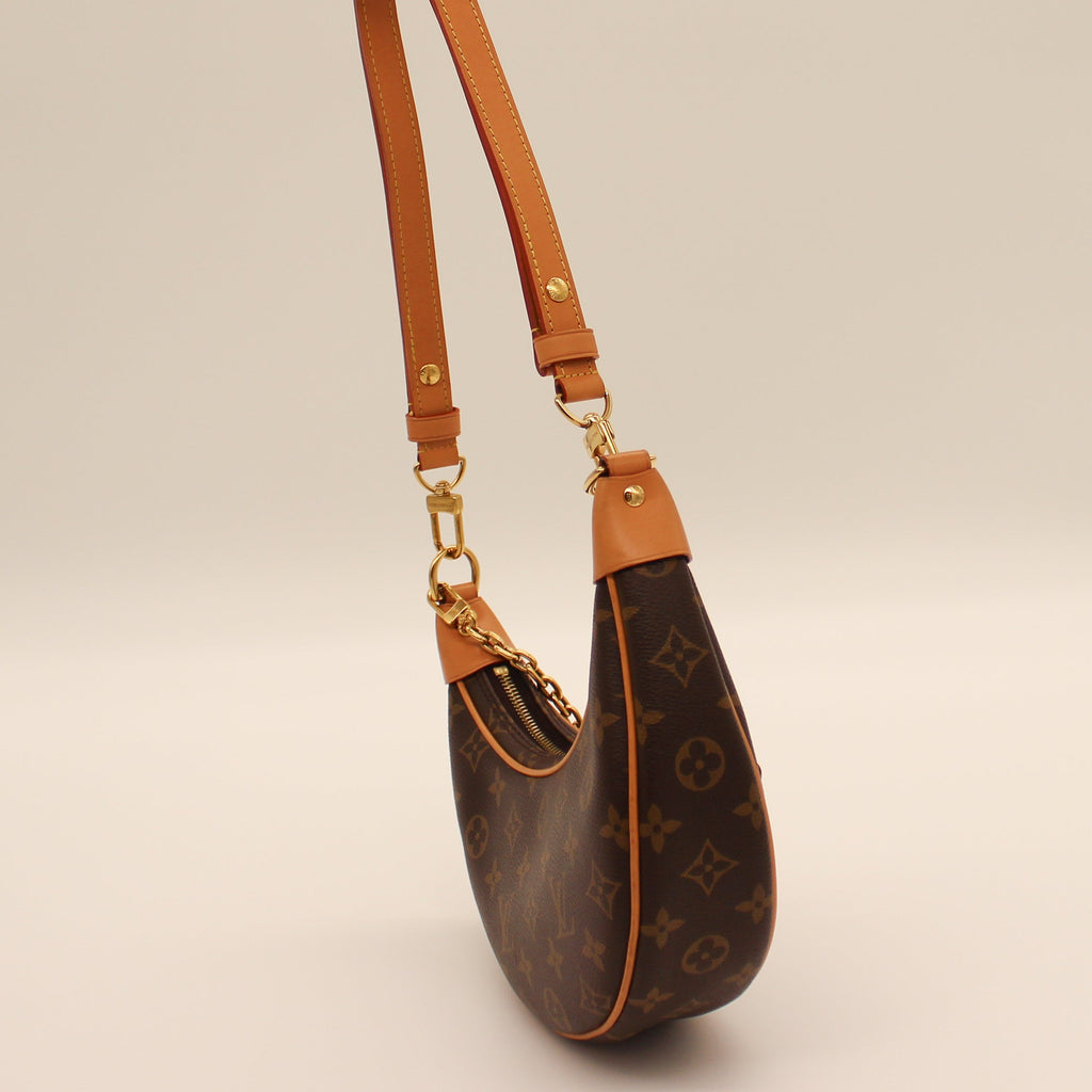 Louis Vuitton Loop Shoulder Bag