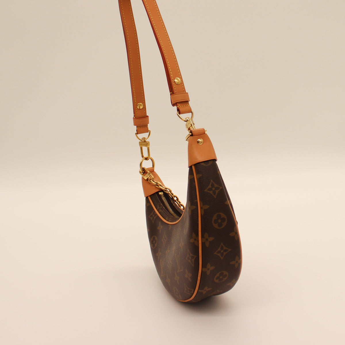 Louis Vuitton Loop Shoulder Bag