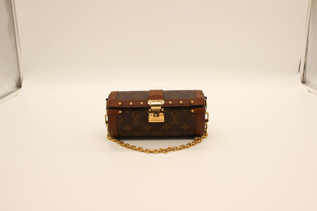 Louis Vuitton Papillon Trunk